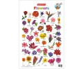 Flowers Chart
