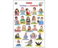 Feelings and Emotions