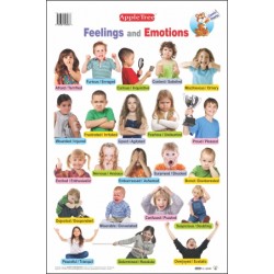 Feelings and Emotions