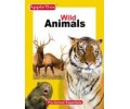 Wild Animals