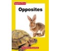 Opposites