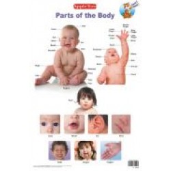 Parts of the Body