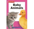 Baby Animals