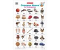 Common Nouns for Kindergarten