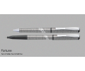 Fortune Pen set